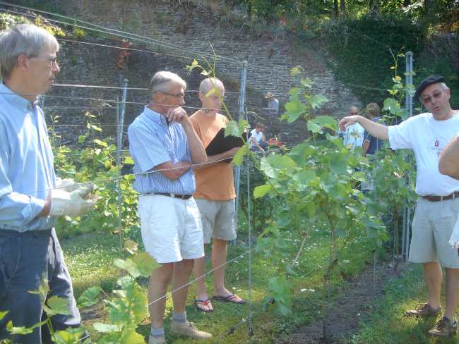 Le maître de chais, Christophe Waterkeyn (à droite), en pleine explication